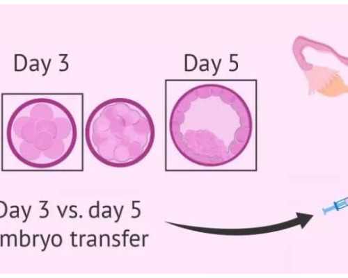 代怀机构，做试管用多少钱啊?做泰国试管费用多少钱