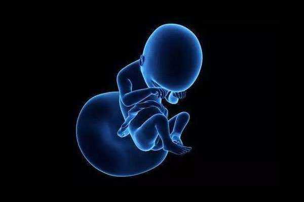 珠海供卵试管后悔了_珠海地下助孕骗局_生化妊娠后还可以去做试管婴儿吗？