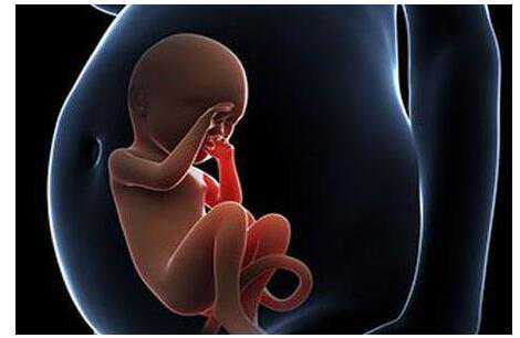 珠海代怀孕代妈中介招聘_珠海助孕危害_美国试管婴儿如何测试女性生育能力
