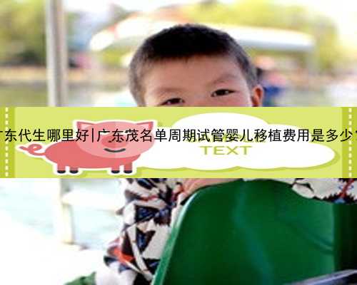 广东代生哪里好|广东茂名单周期试管婴儿移植费用是多少？