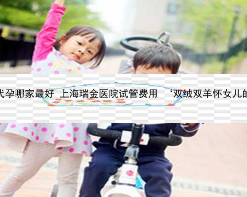 上海做代孕哪家最好 上海瑞金医院试管费用 ‘双绒双羊怀女儿的症状’