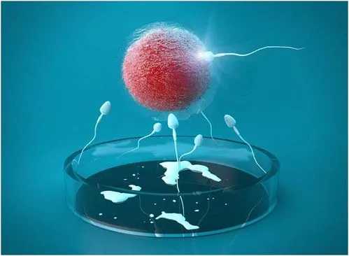 2023珠海协和医院有卵子库吗?,珠海试管婴儿技术怎么样?可靠吗?