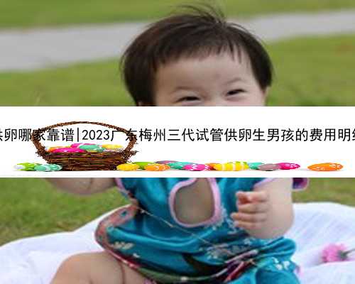 广东供卵哪家靠谱|2023广东梅州三代试管供卵生男孩的费用明细一览