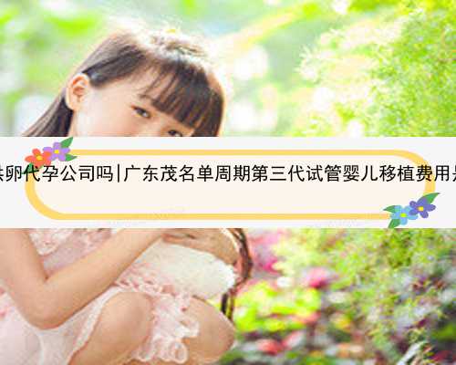广东有供卵代孕公司吗|广东茂名单周期第三代试管婴儿移植费用是多少？